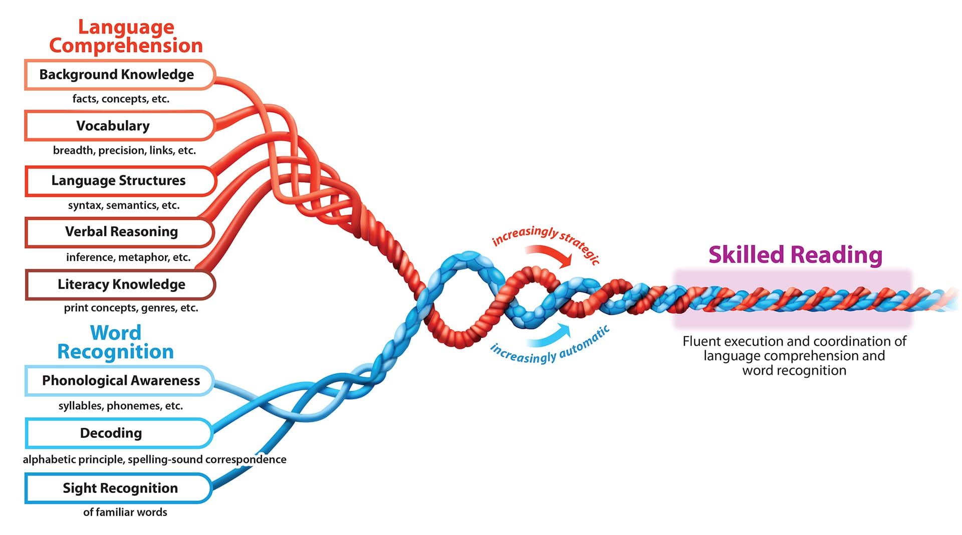 Scarborough’s “Rope” Model from Handbook of Early Literacy Research, © 2001 by Guilford Press.