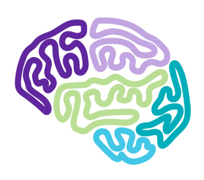 different areas of the brain support different reading functions