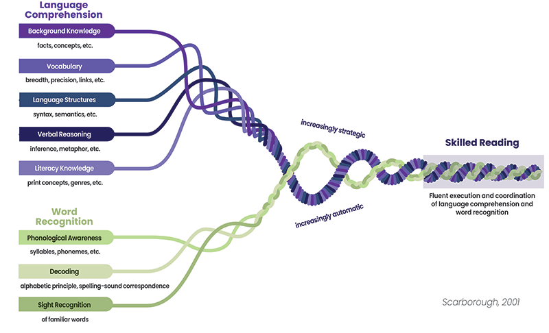 scarborough's reading rope shows how language comprehension and word recognition skills combine for skilled reading comprehension